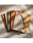 Cuadernos y archivadores