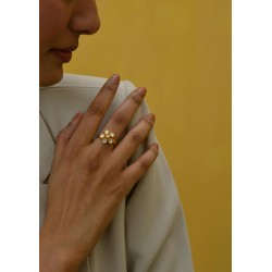 Anillo Primavera