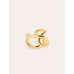 Anillo enlace