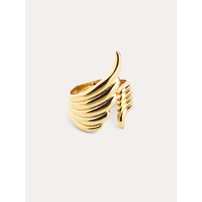 Anillo Alado